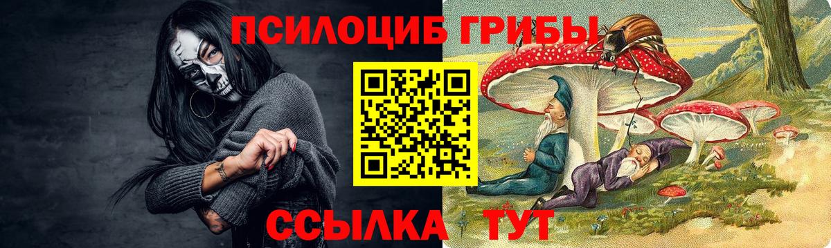Псилоцибиновые грибы Magic Shrooms Фрязино